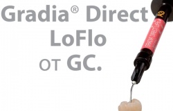 GRADIA® DIRECT LoFlo - рідкий мікрофільний композит з високою в’язкістю GRADIA® DIRECT LoFlo - рідкий мікрофільний композит з високою в’язкістю
