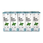 TOOTH MOUSSE, 10 шт - Mint, 35 мл 