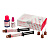 G-CEM ONE System Kit (2 шприци (A2, Translucent) х 4.6 г, праймер (AEP) 4 мл, G-Multi PRIMER 5 мл)