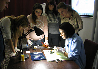 Майстер-клас з виконання "невидимих" реставрацій в місті Харків