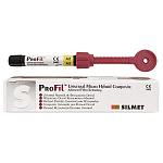 PROFIL шприц A2, 4 г