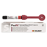 PROFIL шприц C2, 4 г